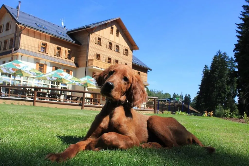 ****  Hotel Eagle Czech Republic